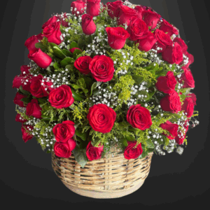 Griss - Canasta de 100 rosas