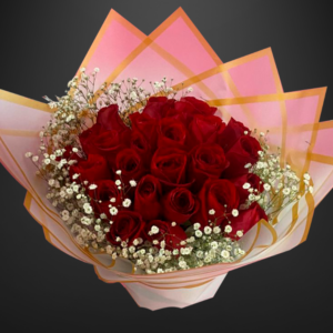 Ary- Ramo de 24 rosas rojas